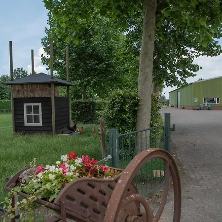 De Dorsvloer * ドリンメレン