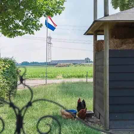 דירה De Dorsvloer