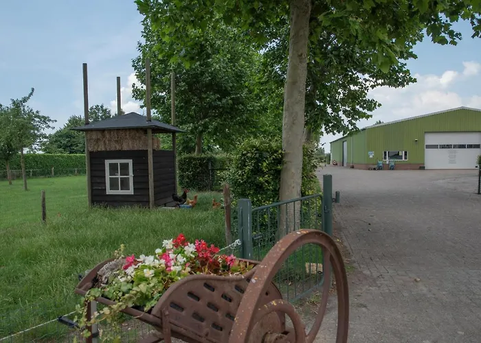 De Dorsvloer * Drimmelen