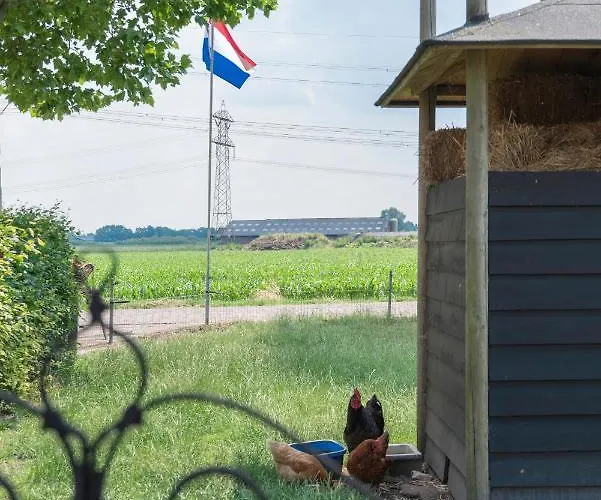 Apartament De Dorsvloer